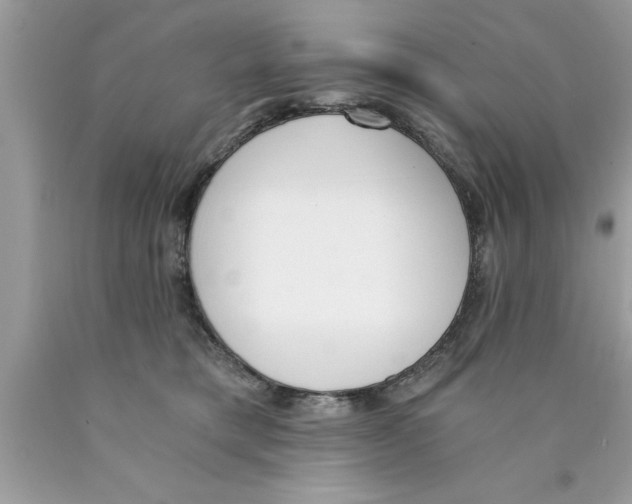 X0000089850421200707262111