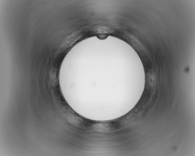 X0000089850422200707262111