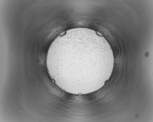 X0000089850423200707262111