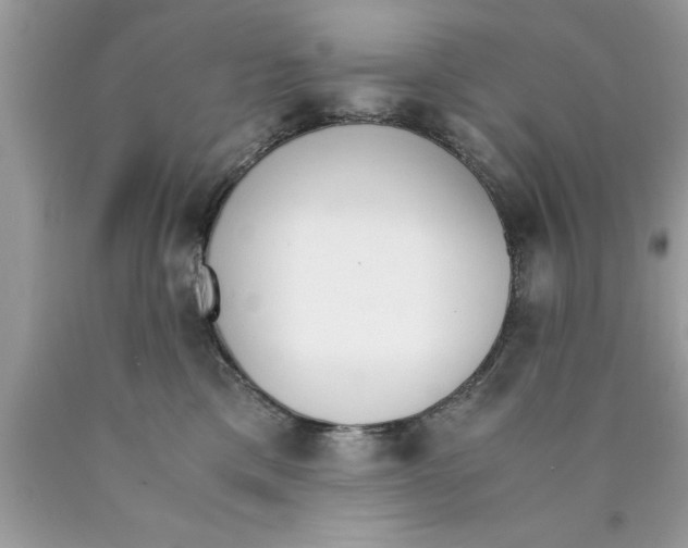 X0000089850425200707262111