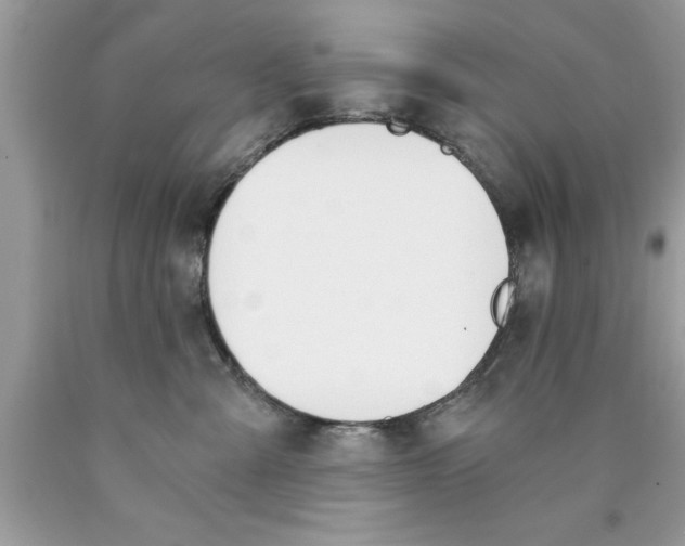 X0000089850427200707262111