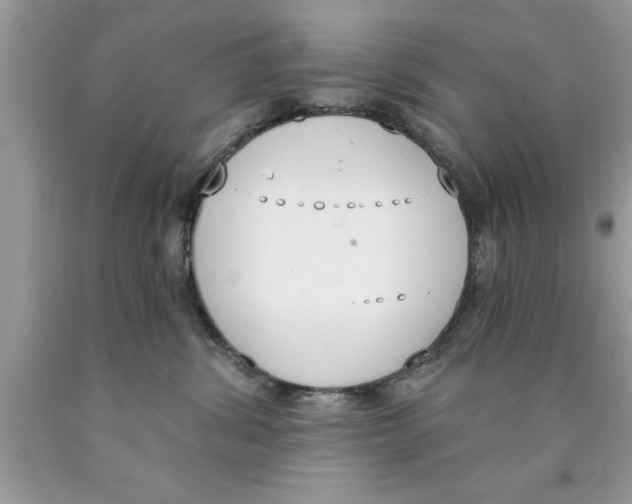 X0000089850428200707262111