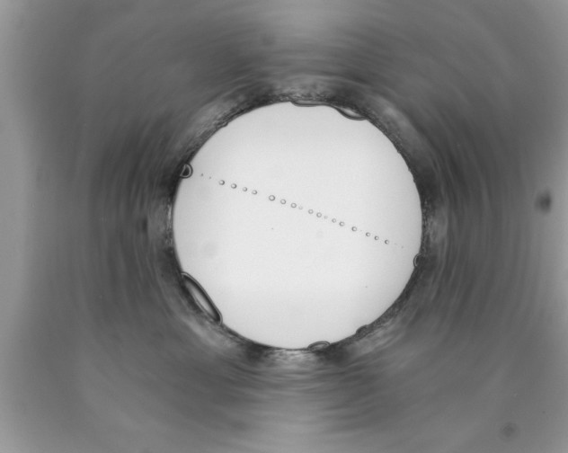 X0000089850429200707262111