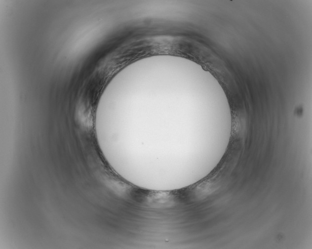 X0000089850431200707262111