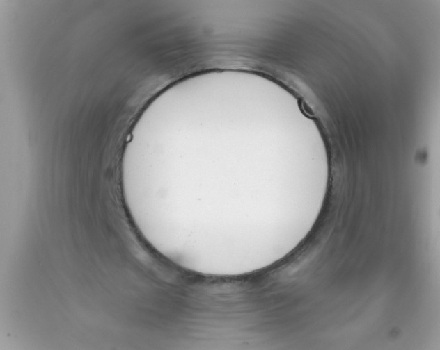 X0000089850433200707262111