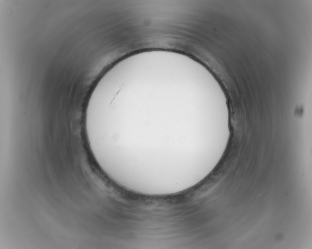 X0000089850434200707262111