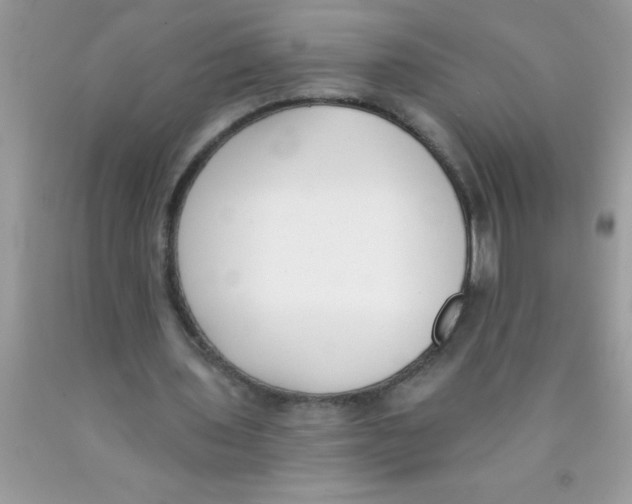 X0000089850435200707262111