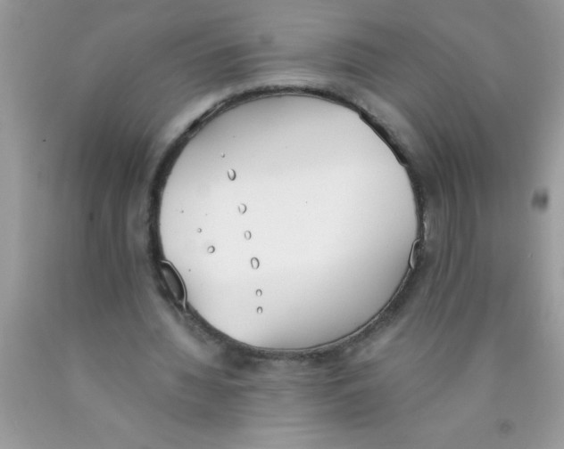 X0000089850436200707262111