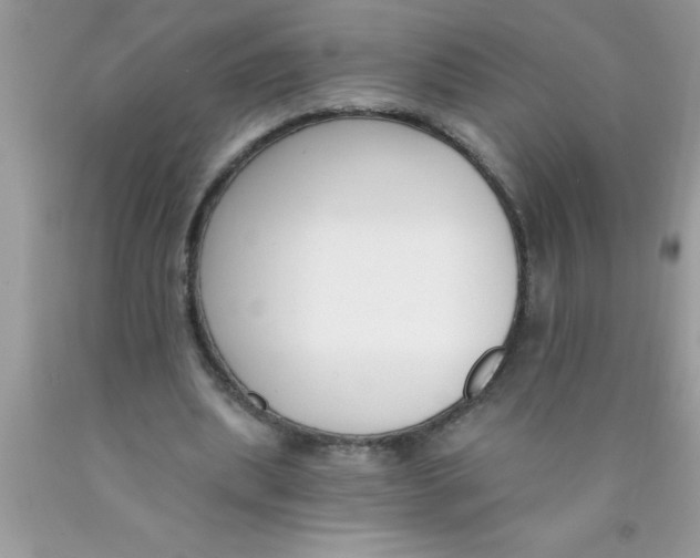 X0000089850439200707262111