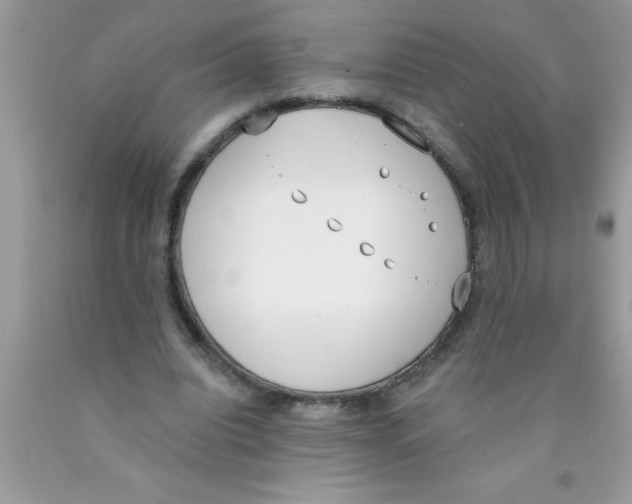 X0000089850440200707262111