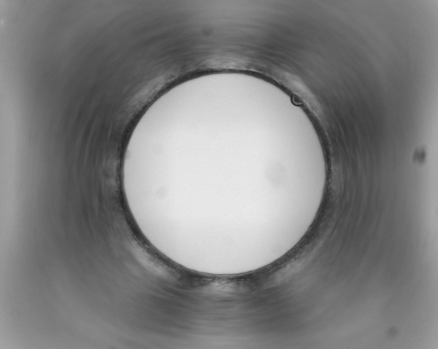 X0000089850441200707262111