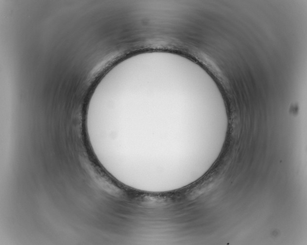 X0000089850442200707262111