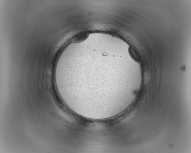 X0000089850444200707262111