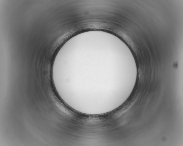 X0000089850445200707262111