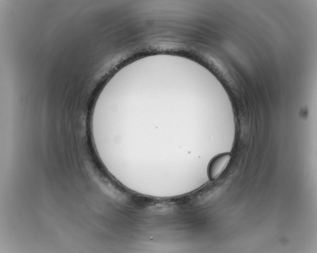 X0000089850447200707262111