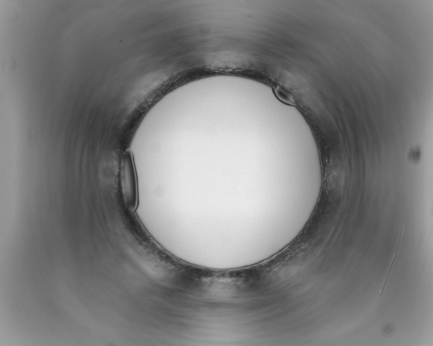 X0000089850448200707262111