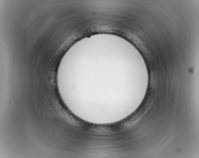 X0000089850449200707262111