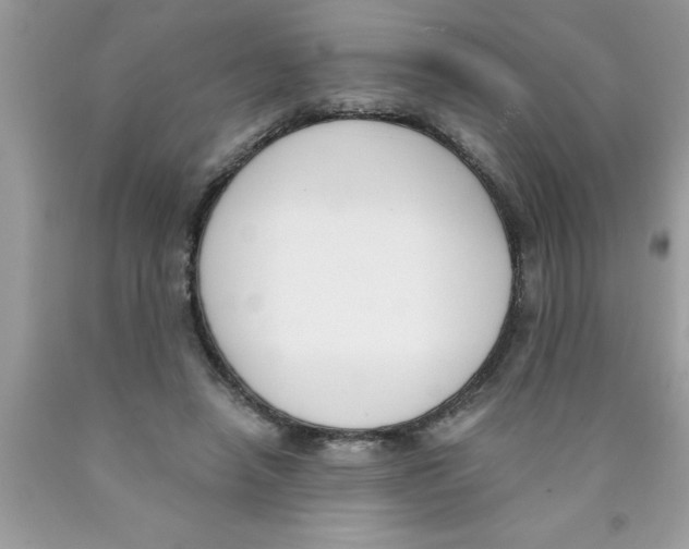 X0000089850450200707262111