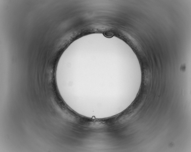 X0000089850451200707262111