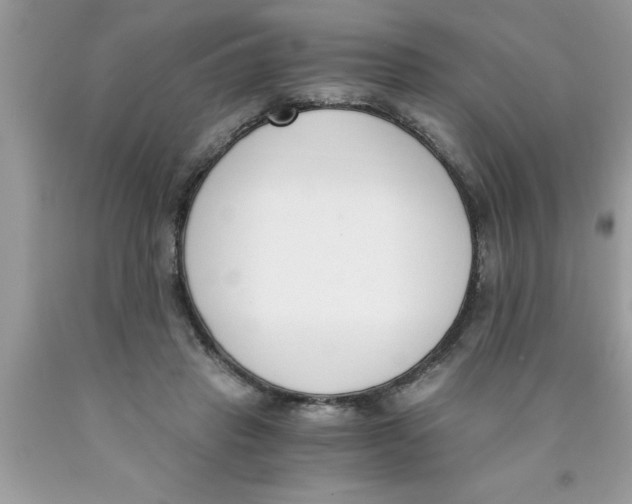 X0000089850453200707262111