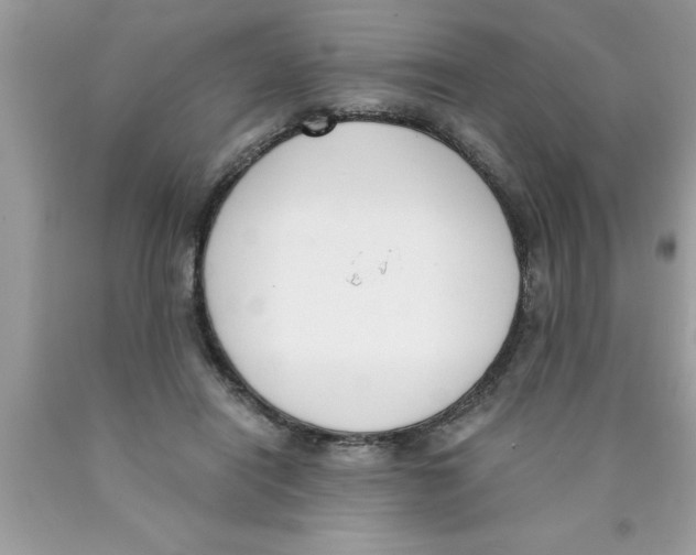 X0000089850454200707262111