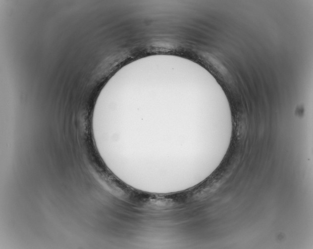 X0000089850455200707262111