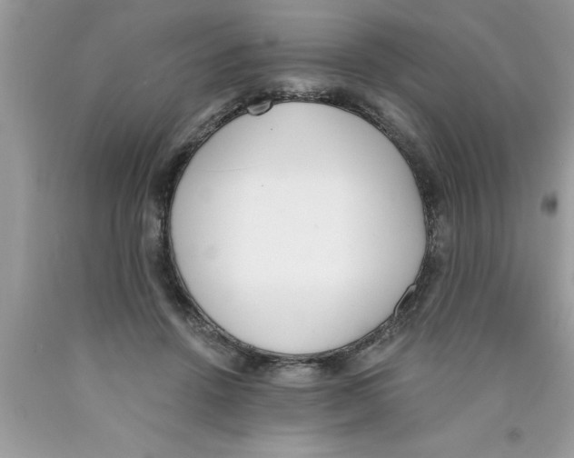 X0000089850456200707262111