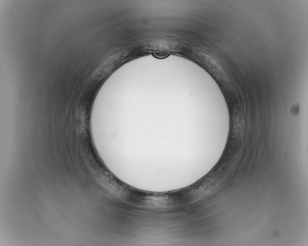 X0000089850457200707262111