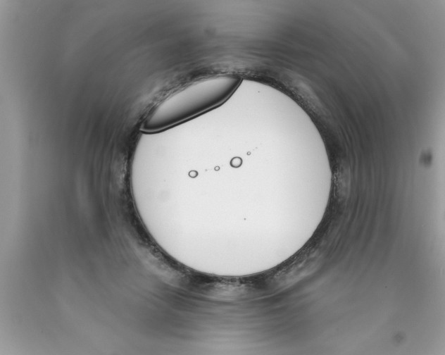 X0000089850458200707262111