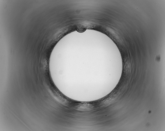 X0000089850459200707262111