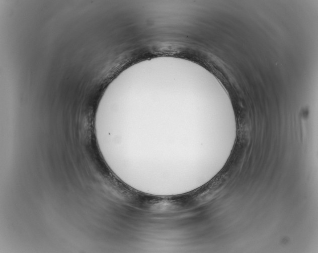 X0000089850460200707262111