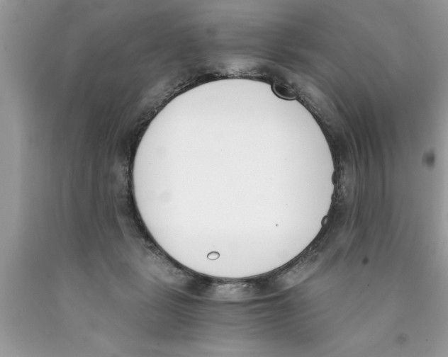 X0000089850461200707262111