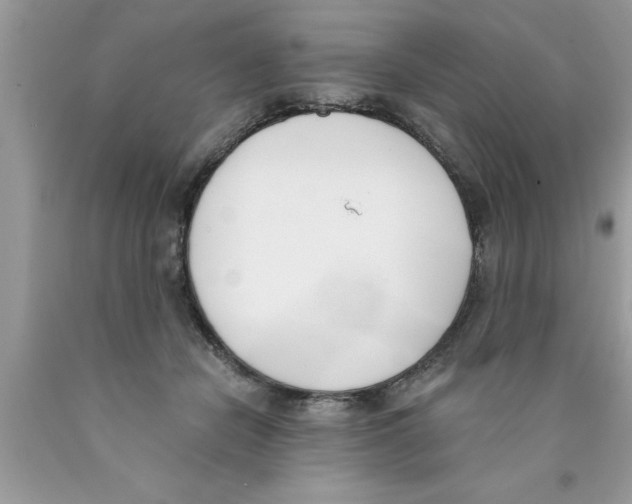 X0000089850462200707262111