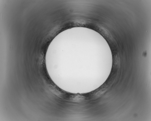 X0000089850463200707262111