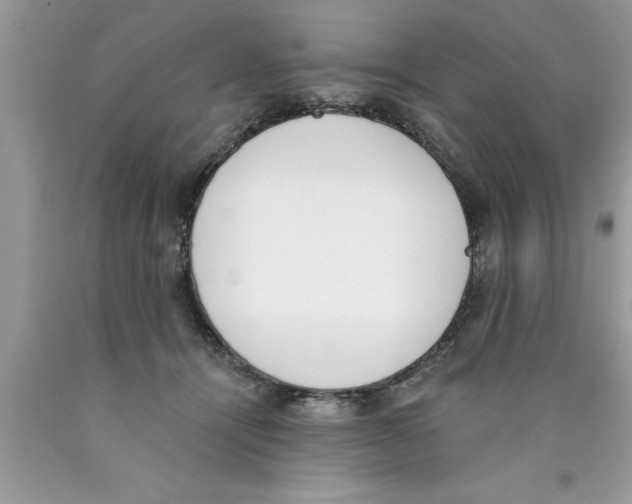 X0000089850464200707262111