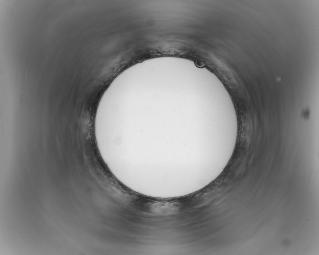 X0000089850465200707262111