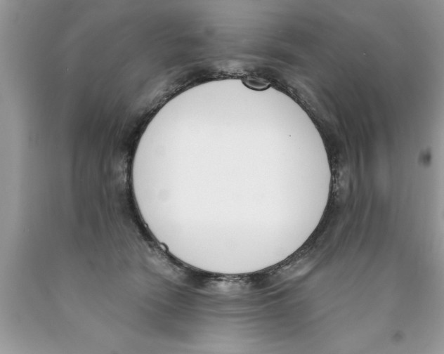 X0000089850466200707262111