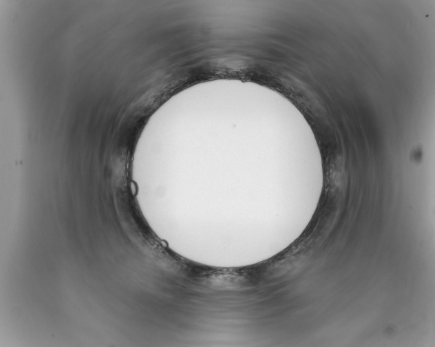 X0000089850468200707262111