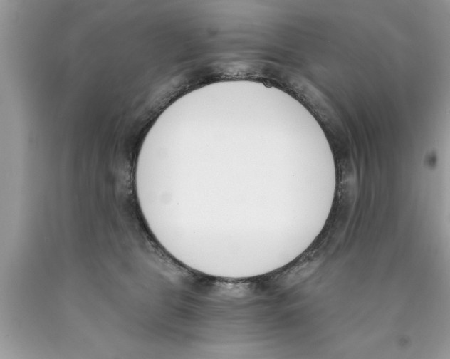 X0000089850469200707262111