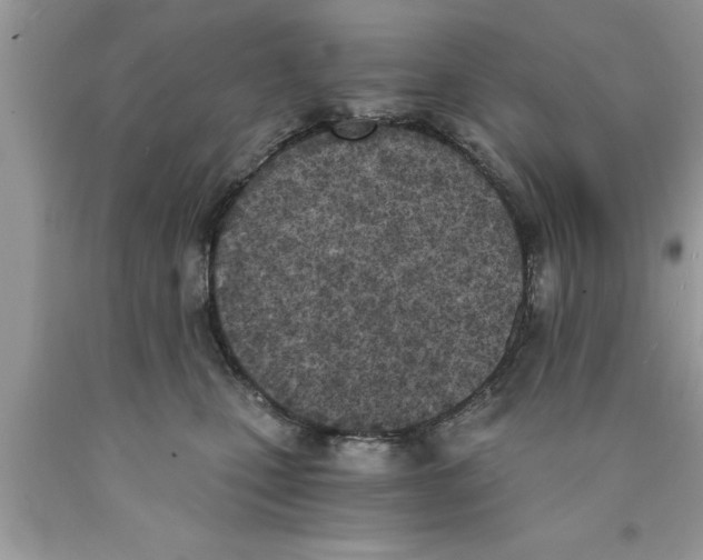 X0000089850471200707262111