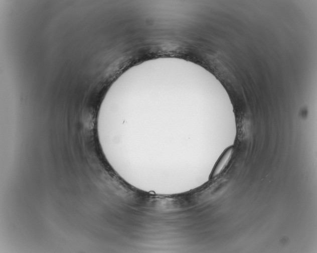 X0000089850472200707262111