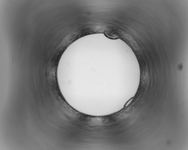 X0000089850473200707262111