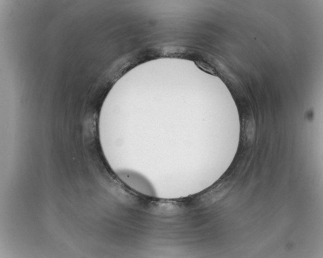 X0000089850475200707262111