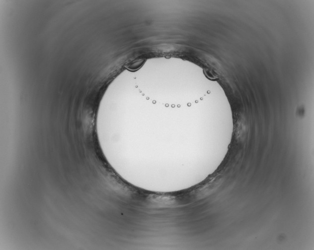 X0000089850476200707262111