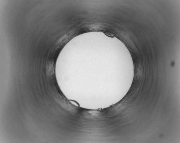 X0000089850478200707262111