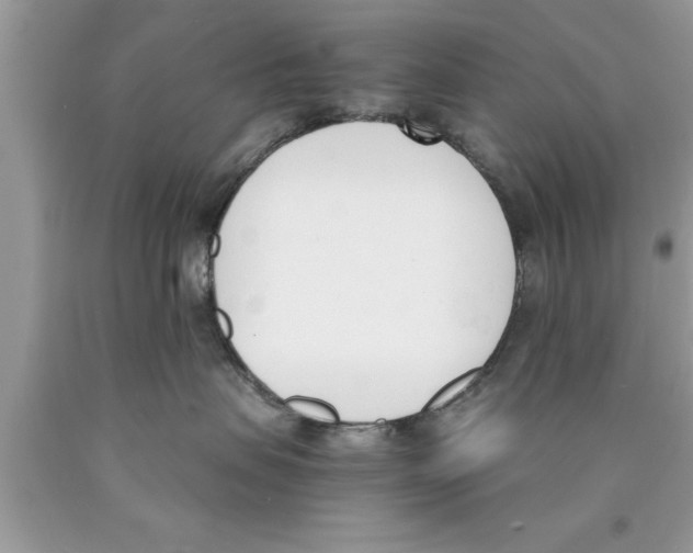 X0000089850479200707262111