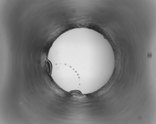 X0000089850480200707262111