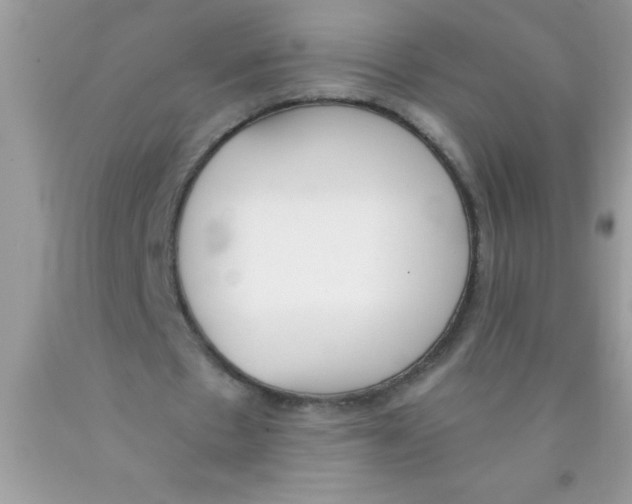 X0000089850481200707262110