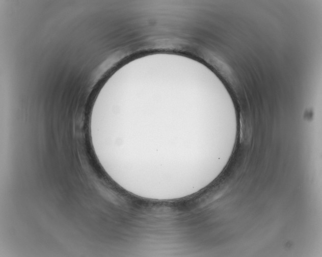 X0000089850483200707262110