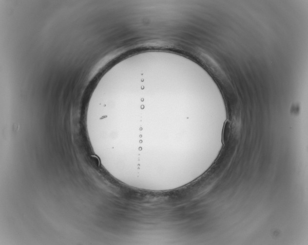 X0000089850484200707262110